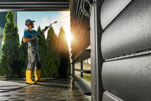 Best Roof Washing  in Schoolcraft, MI